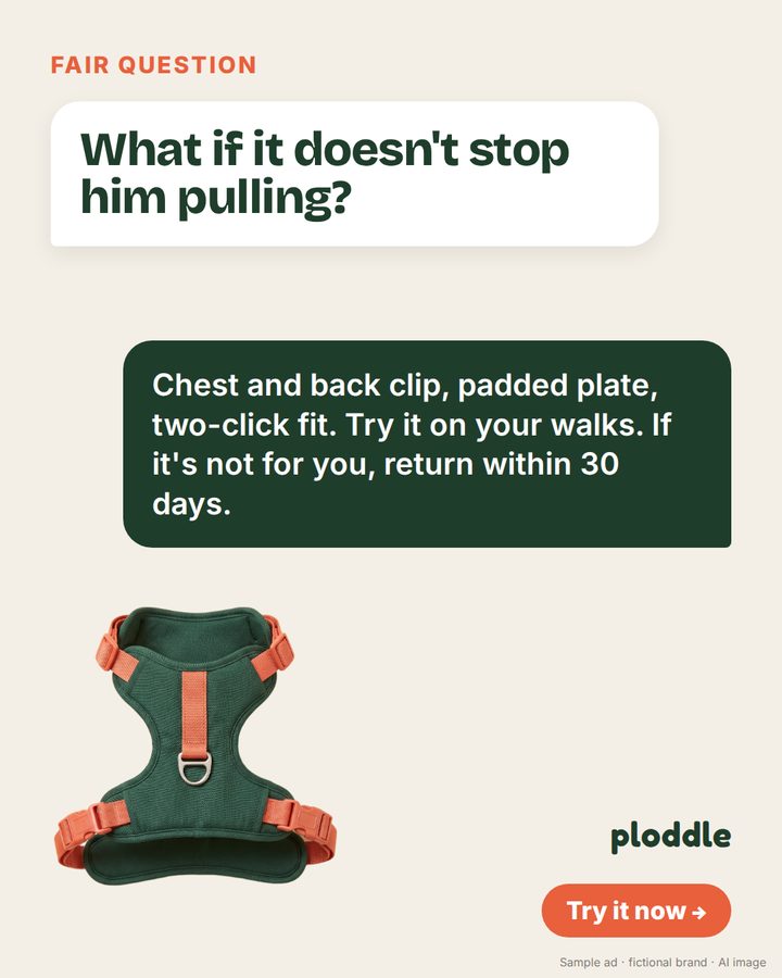 Example ad from a demo brand